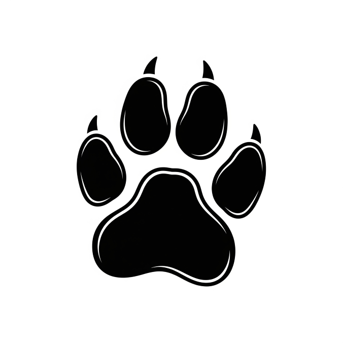 Dog Friendly Accommodation
