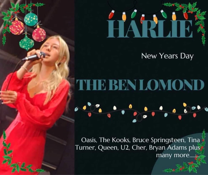 HARLIE at Ben Lomond Grange Road West Jarrow South Tyneside NE32 3JA January 2024