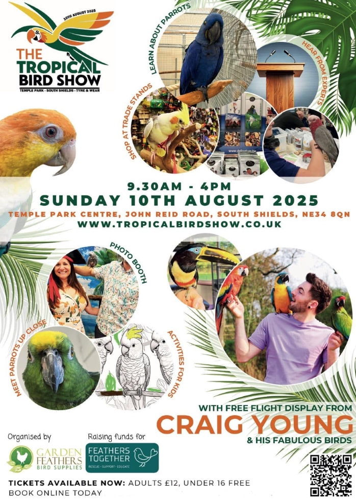 The Tropical Bird Show at Temple Park Centre South Shields August 2025 The Tropical Bird Show at Temple Park Centre South Shields August 2025
